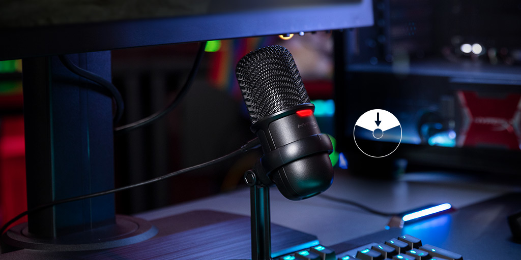 Запись звука с функциональностью Plug N Play