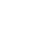 TEAM SECRET logo