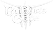 Лого Baldur’s Gate 3