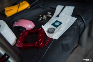 digital jungle photo 39