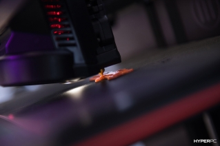 digital jungle photo 52