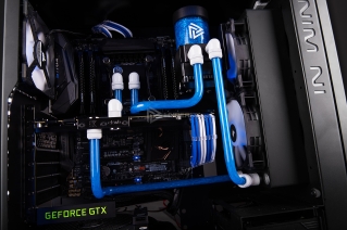 in win 805 infinity semchenko photo 11