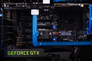 in win 805 infinity semchenko photo 18