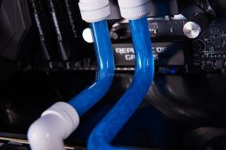 in win 805 infinity semchenko photo 22