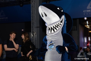 msi cup cs go photo 01